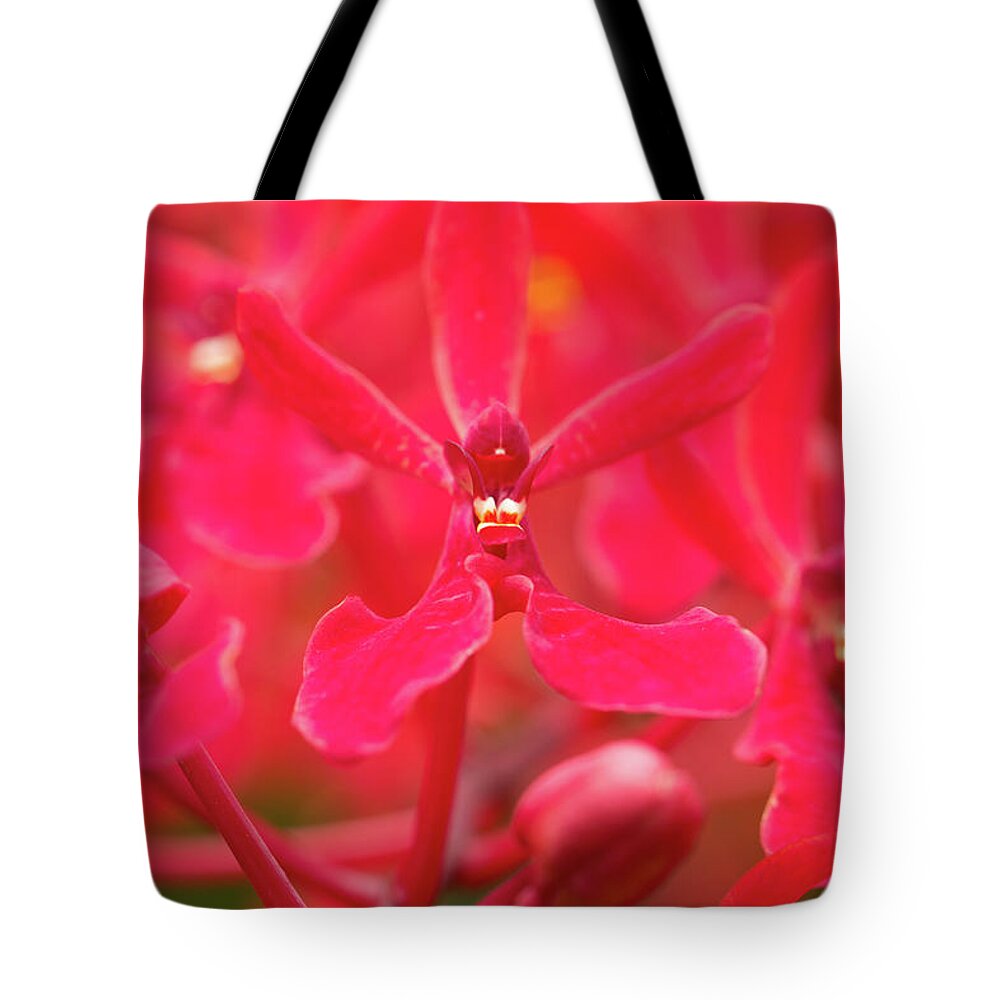 Asia Tote Bag featuring the photograph Red Orchids by Peteris Vaivars