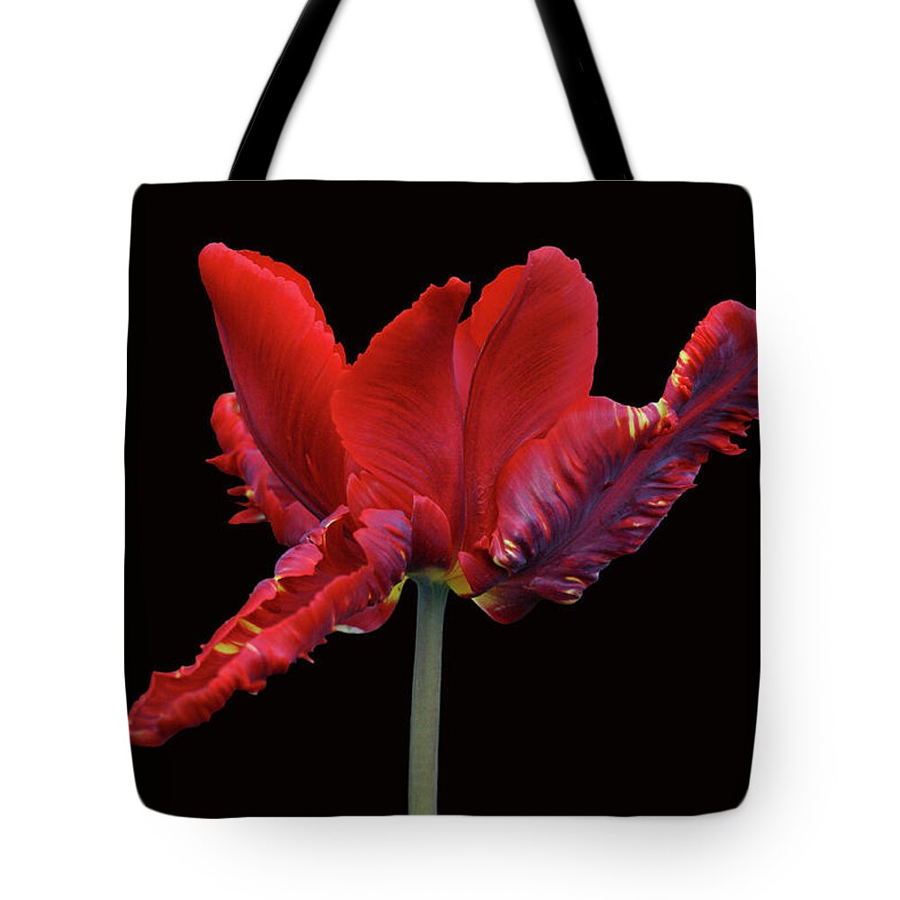 Tulip Tote Bag featuring the photograph Red Parrot Tulip by Sandy Keeton