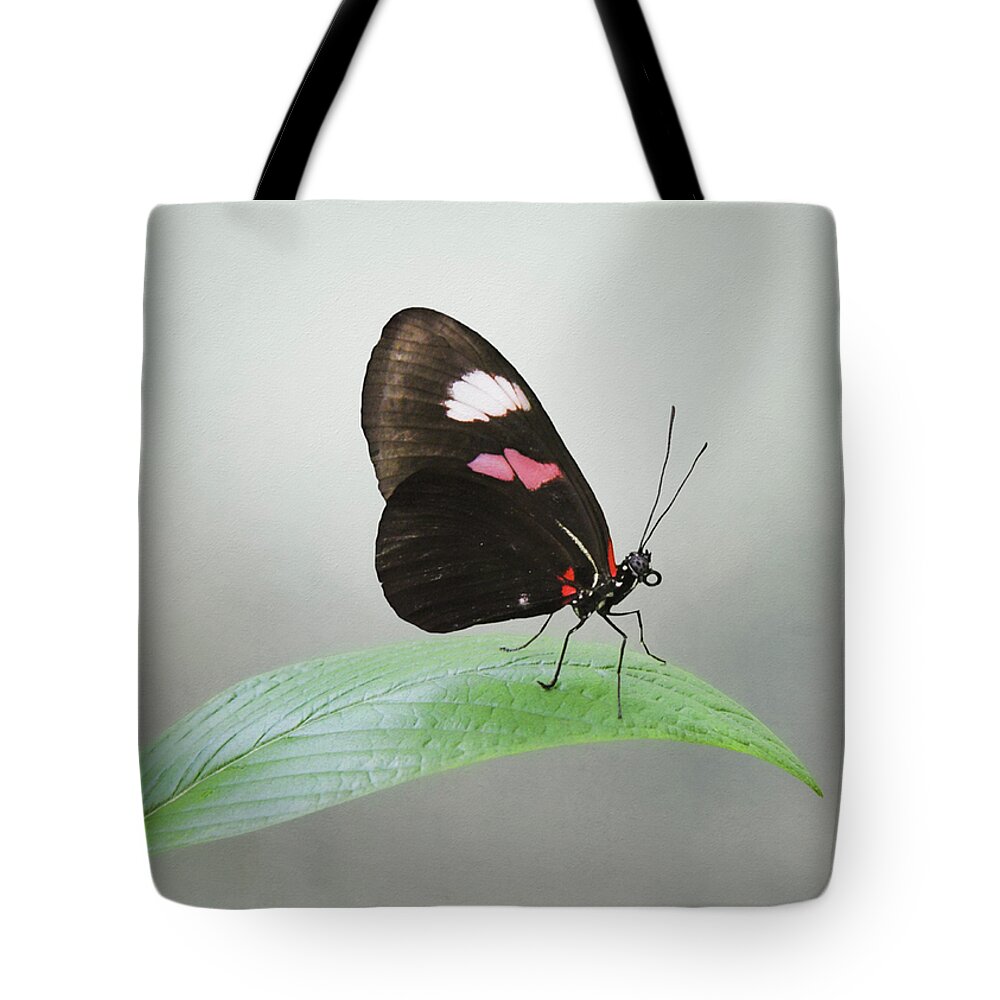 Red Postman Butterfly Tote Bag featuring the photograph Red Postman by Steven Michael