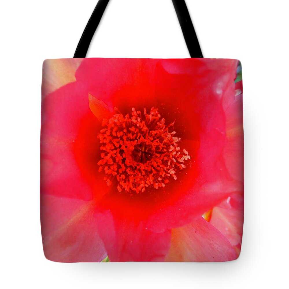 Arizona Tote Bag featuring the photograph Red Prickly Pear Bloom 2 by Judy Kennedy