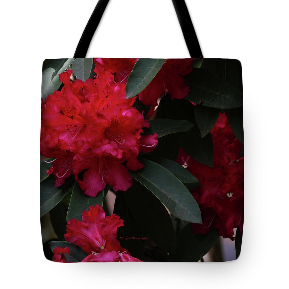 Rhododendron Tote Bag featuring the photograph Red Rhododendron by Jeanette C Landstrom