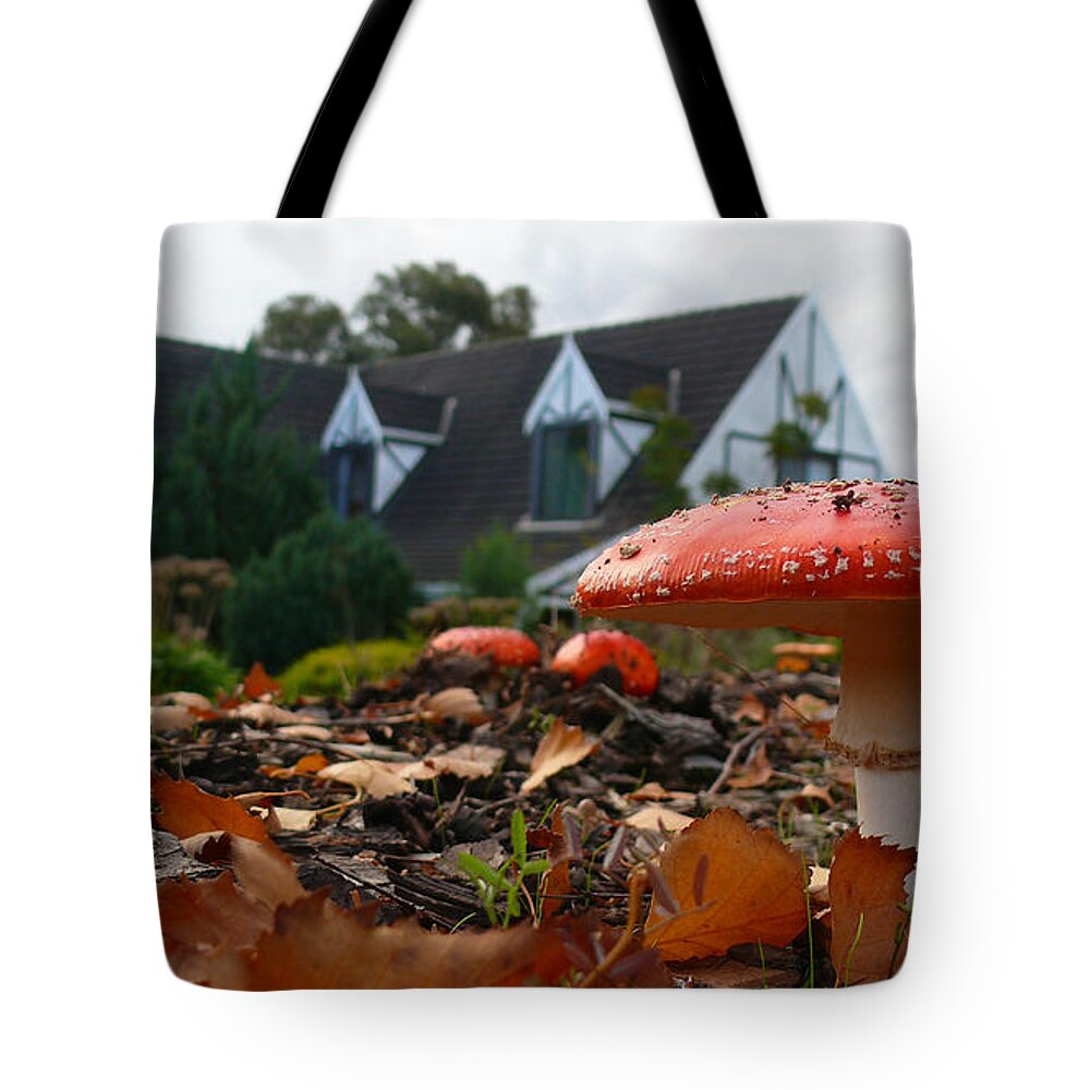 Fly Agaric Tote Bag featuring the photograph Red Riding Hood by Evelyn Tambour