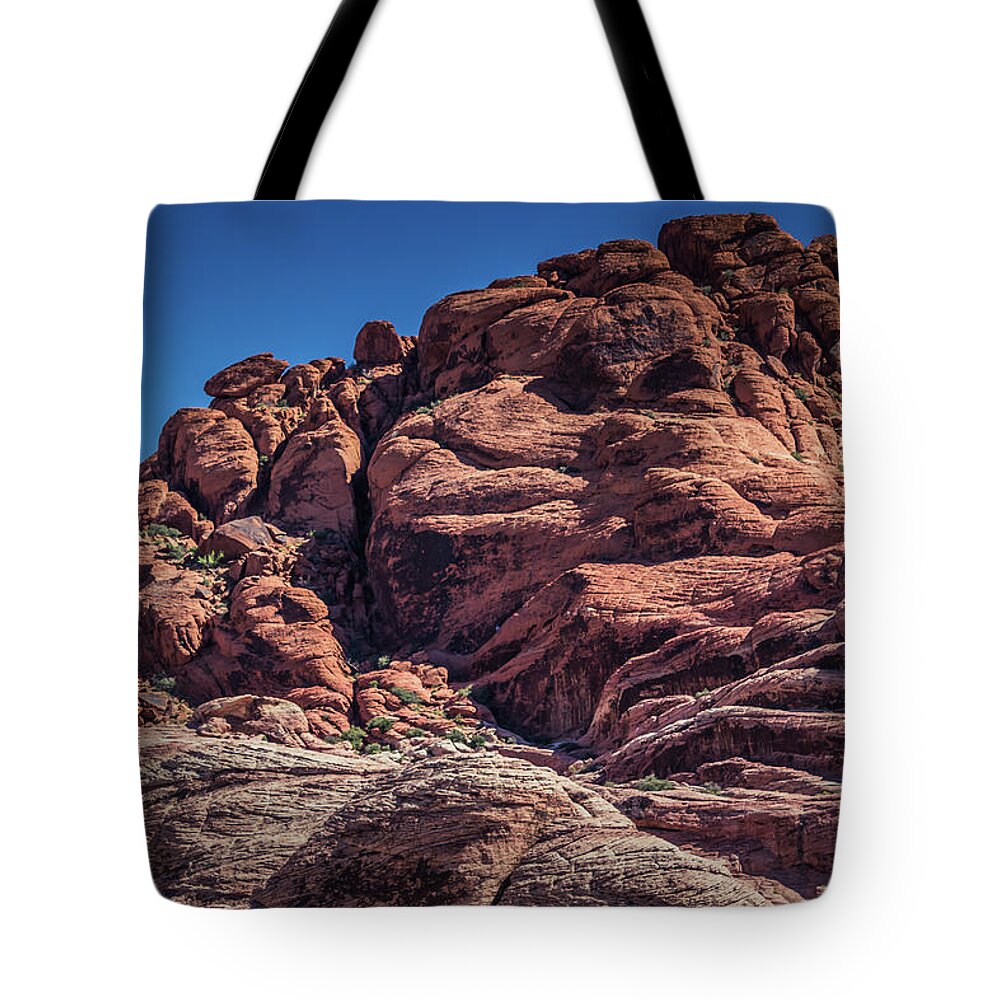 Desert Tote Bag featuring the photograph Red Rock Canyon by Elaine Webster