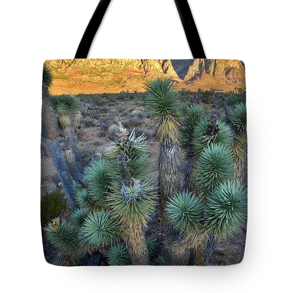 Red Rock Canyon Tote Bag featuring the photograph Red Rock Canyon by Ray Mathis