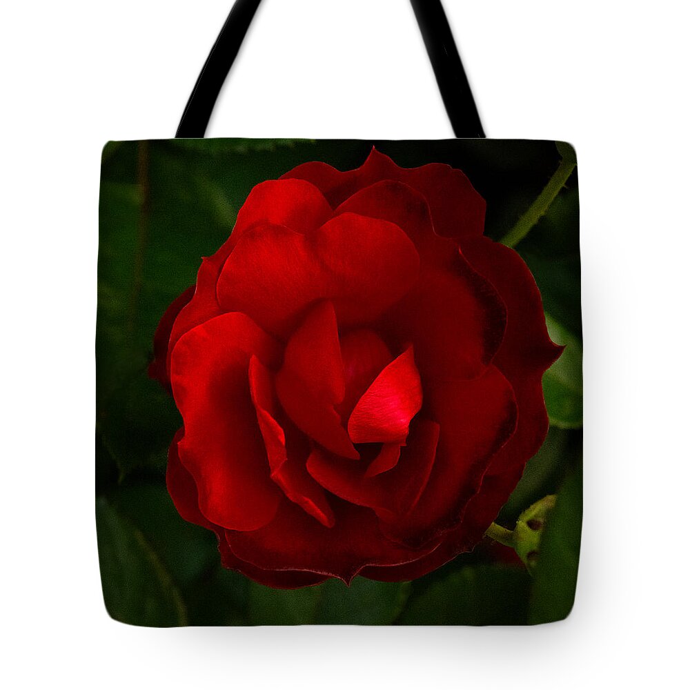 Red Rose Tote Bag featuring the photograph Red Rose by Don Spenner