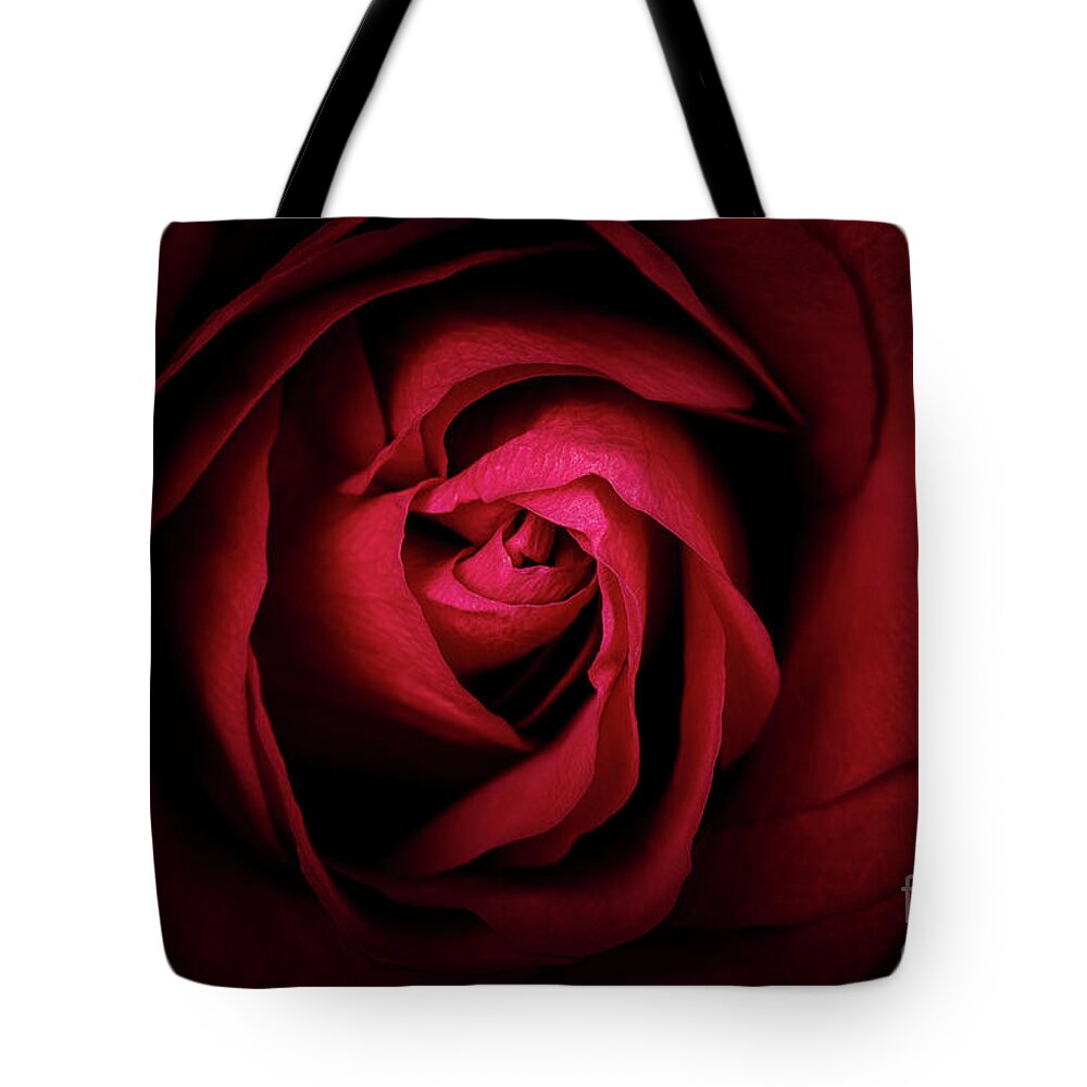 Rose Tote Bag featuring the photograph Red Rose by Jane Rix