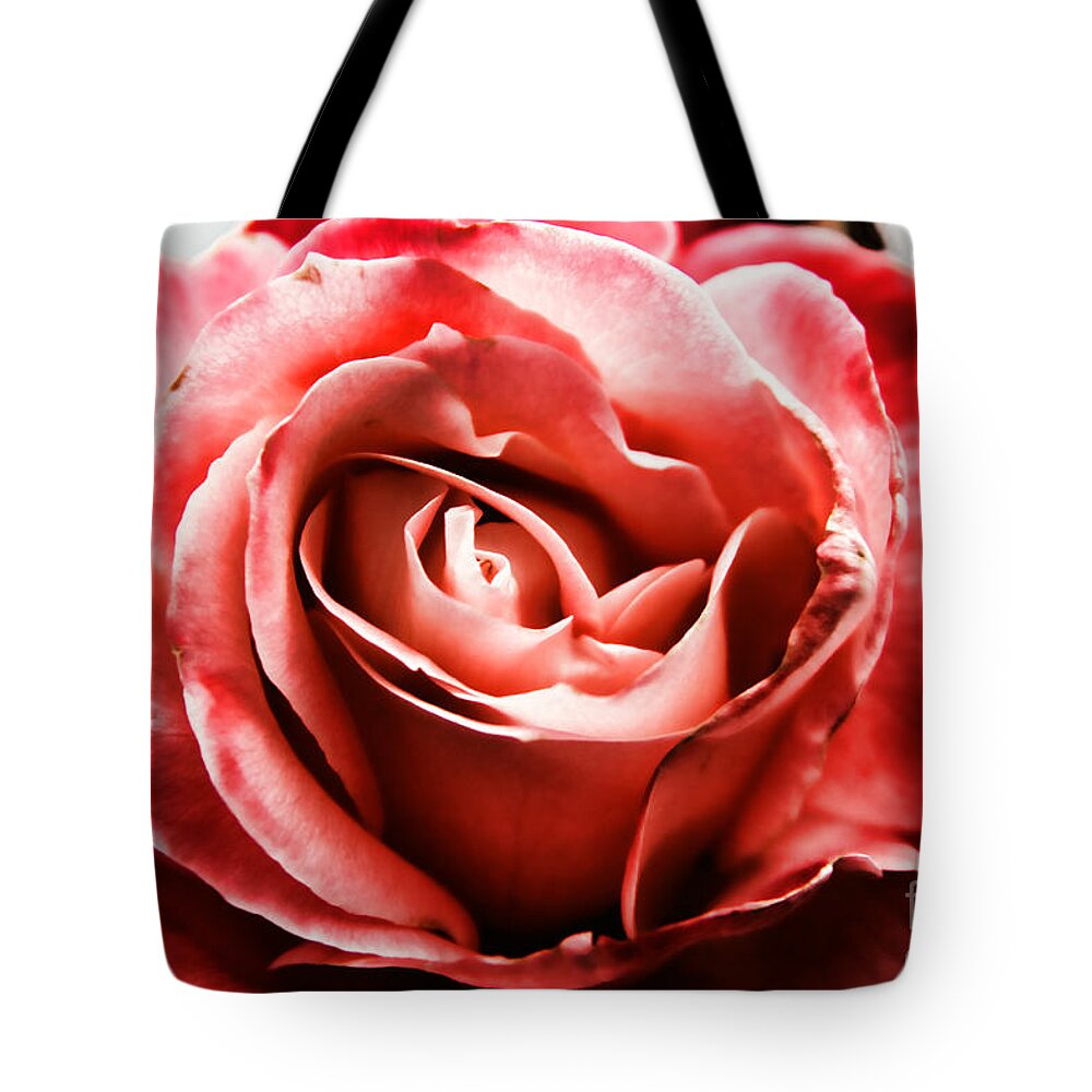 Red Rose Tote Bag featuring the photograph Red Rose by Mariola Bitner