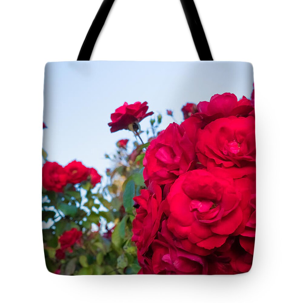 Red Tote Bag featuring the photograph Red Rose Perfection by Weir Here And There