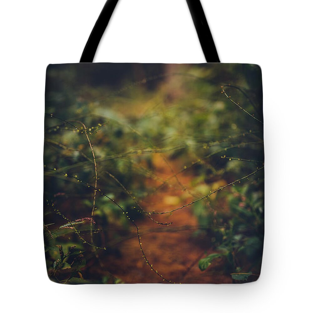 Forest Tote Bag featuring the photograph Red Rover Red Rover by Shane Holsclaw