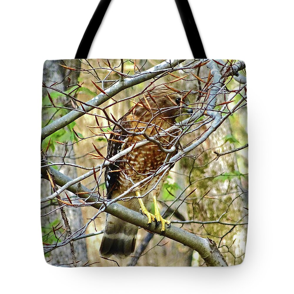 Hawk Tote Bag featuring the photograph Red-shouldered Hawk by Eunice Warfel