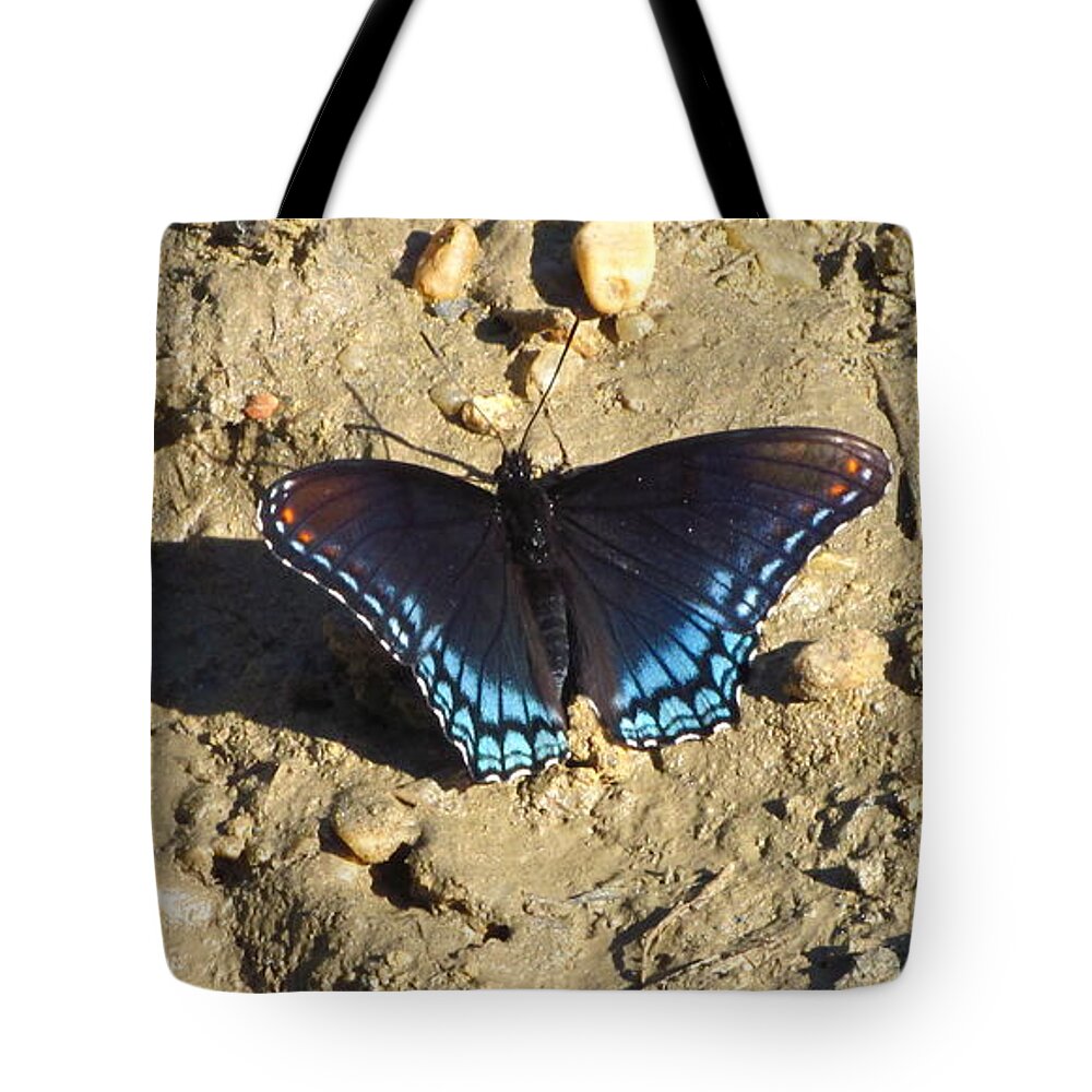 Red Spotted Purple Astyanax Butterfly Images Maryland Butterfly Images Red Spotted Purple Photo Prints Astyanax Prints Nature Butterfly Images Forest Ecosystem Biodiversity Tote Bag featuring the photograph Red Spotted Purple Astyanax by Joshua Bales