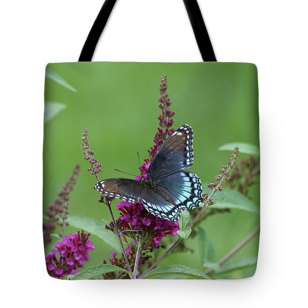 Red-spotted Purple Butterfly Tote Bag featuring the photograph Red-spotted Purple Butterfly on Butterfly Bush by Robert E Alter Reflections of Infinity