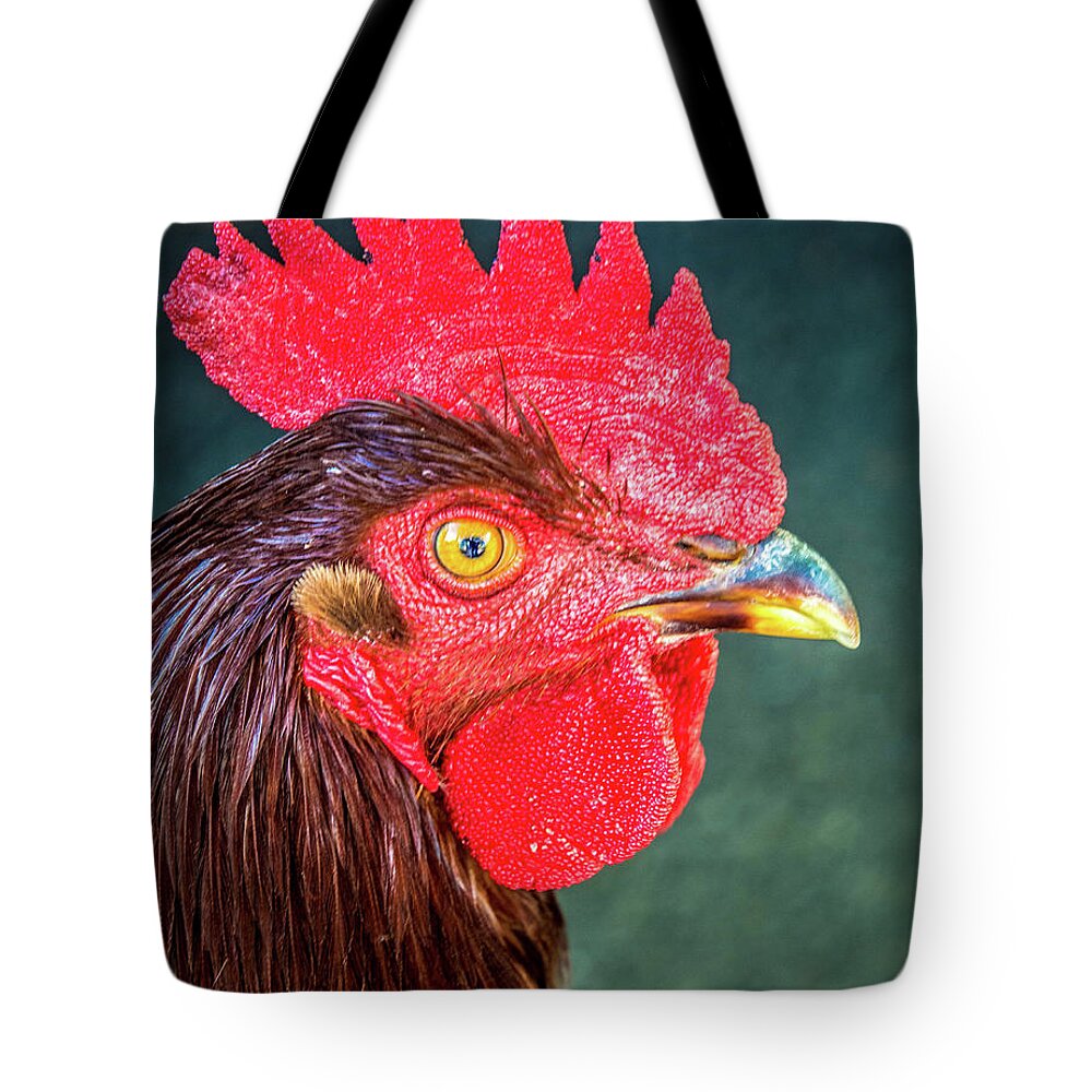 Rooster Tote Bag featuring the photograph Red by Steph Gabler