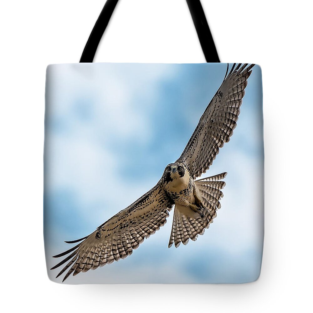 Hawk Tote Bag featuring the photograph Red-tailed Hawk Coming At Me by Stephen Johnson