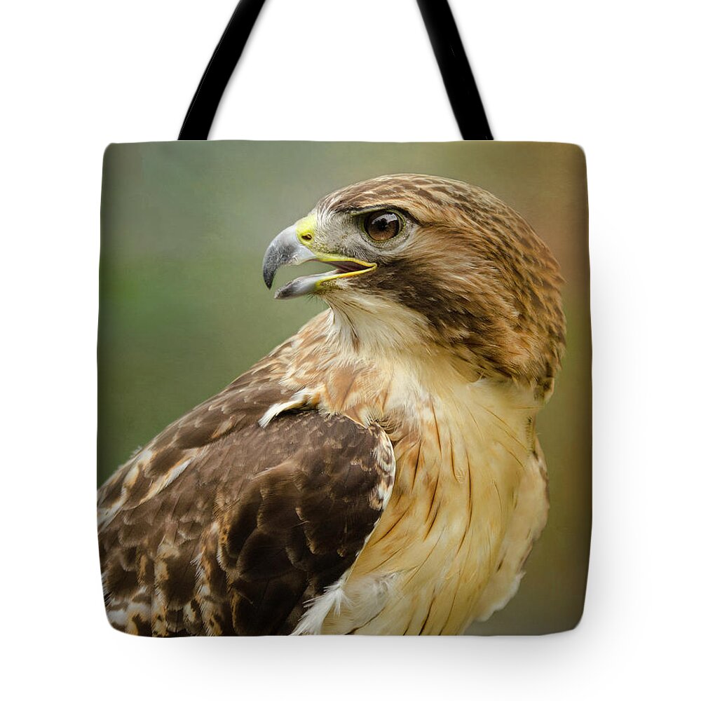 Animal Tote Bag featuring the photograph Red-Tailed Hawk Portrait by Ann Bridges