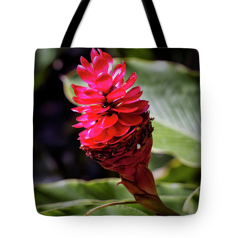 Granger Photography Tote Bag featuring the photograph Red Torch by Brad Granger