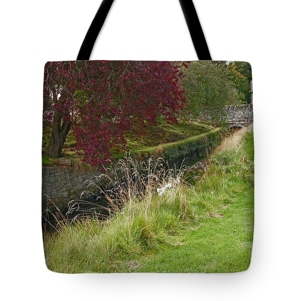 Red Tree Tote Bag featuring the photograph Red Tree at the old water duct by Elena Perelman
