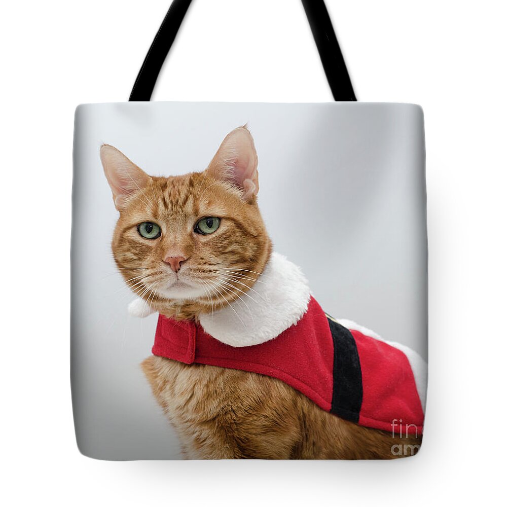 Red Tubby Cat Photograph Tote Bag featuring the photograph Red Tubby Cat Tabasco Santa Clause by Irina ArchAngelSkaya