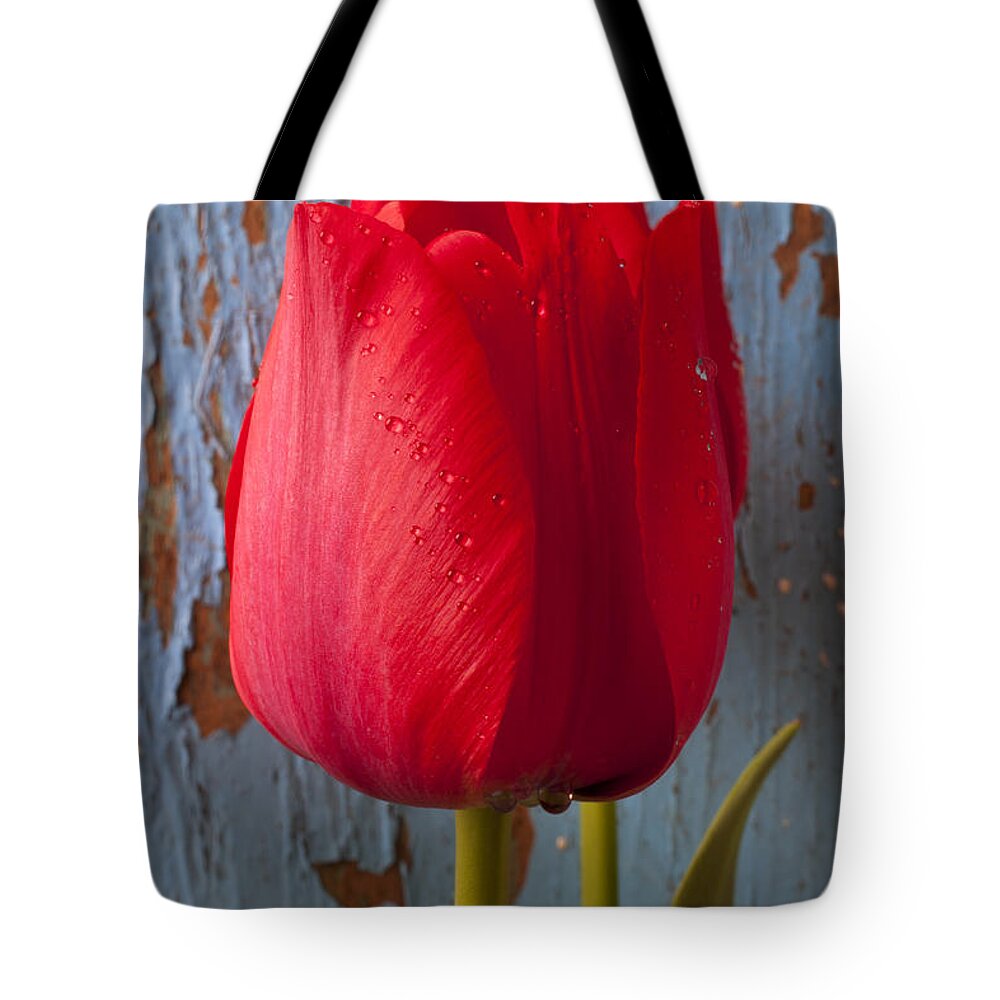 Red Tote Bag featuring the photograph Red Tulip by Garry Gay
