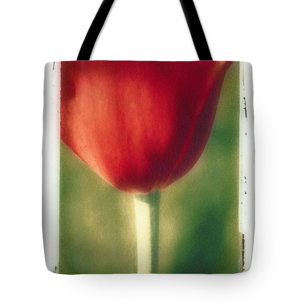 Spring Tote Bag featuring the photograph Red Tulip by Joye Ardyn Durham