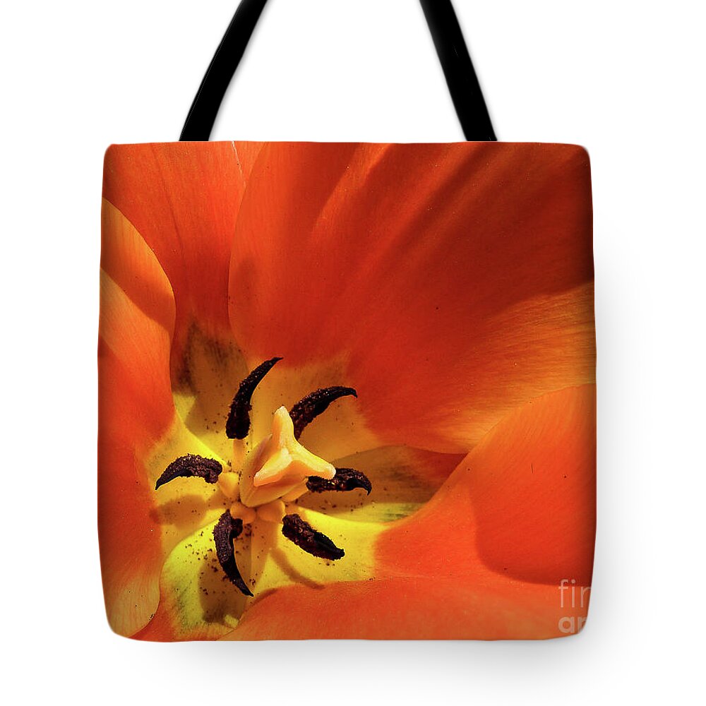 April Tote Bag featuring the photograph Red Tulip by Susan Cole Kelly