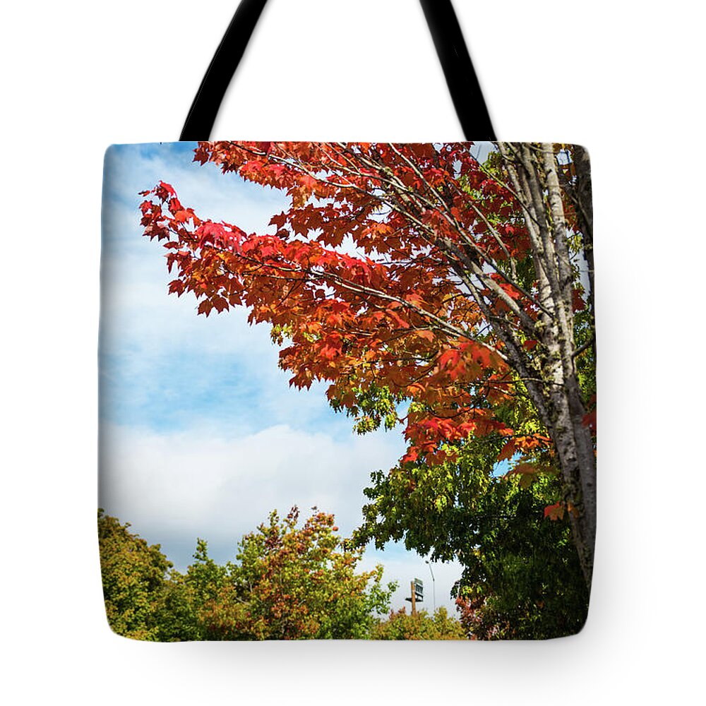 Red White And Blue Tote Bag featuring the photograph Red, White, and Blue by Tom Cochran