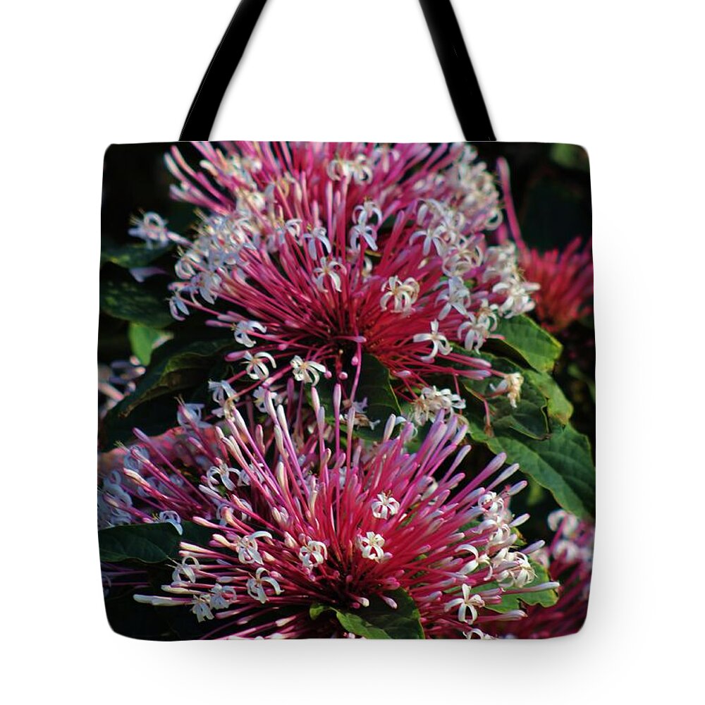 Flower Tote Bag featuring the photograph Red, White and Green by Craig Wood