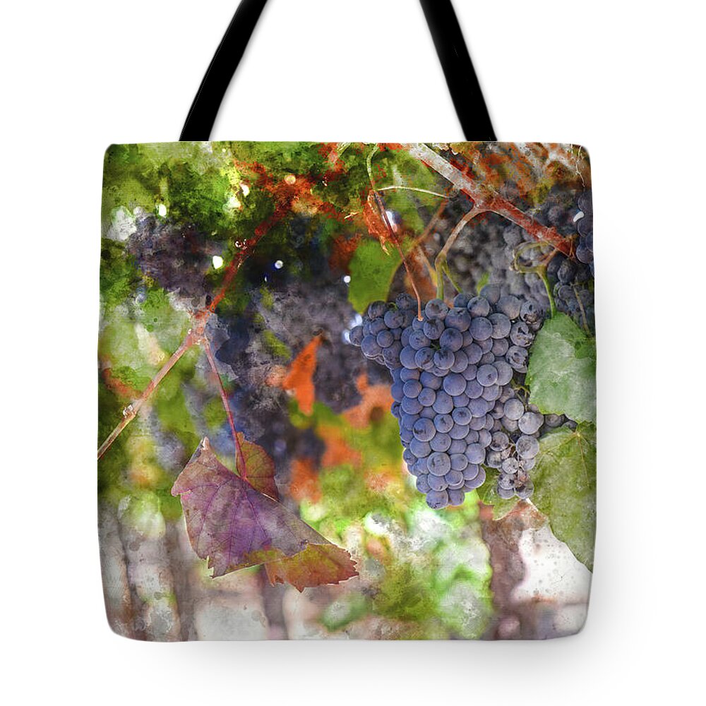 Red Wine Tote Bag featuring the photograph Red Wine Grapes on the Vine in Wine Country by Brandon Bourdages