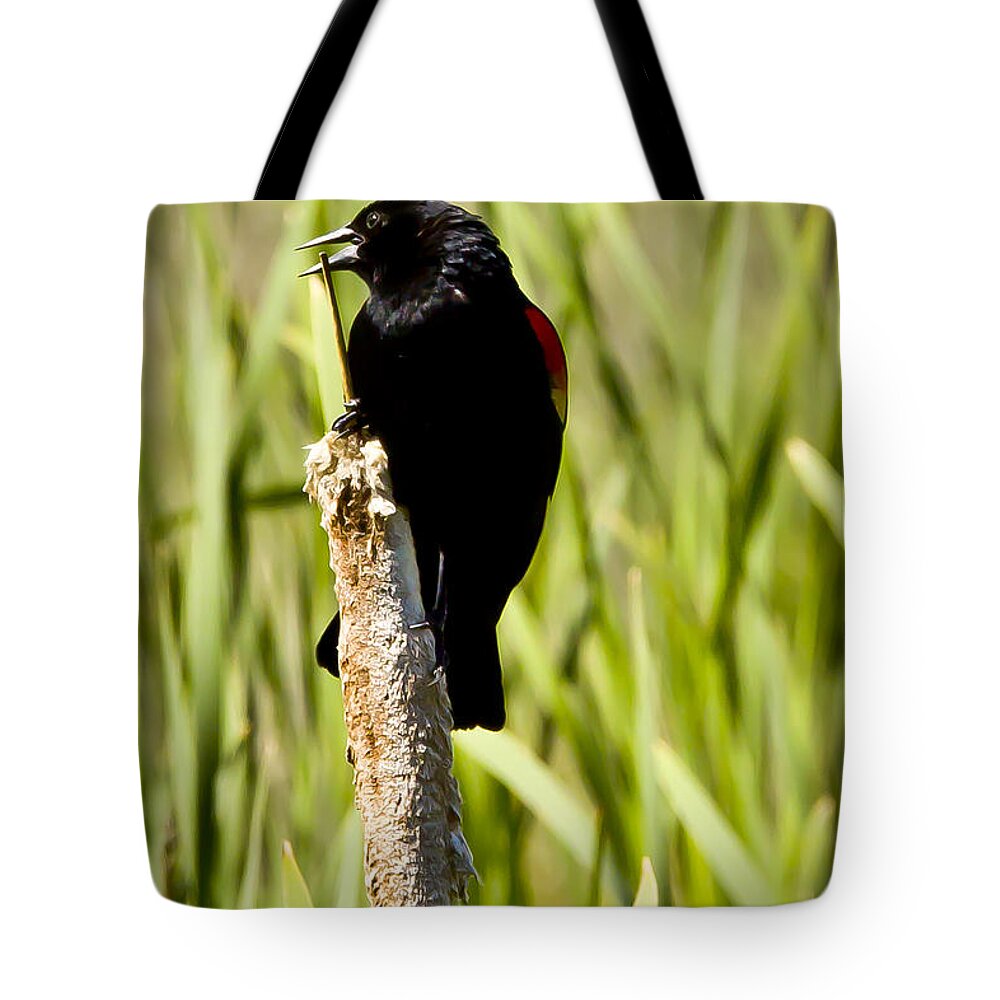 Wildlife Tote Bag featuring the photograph Red-winged Blackbird by Albert Seger
