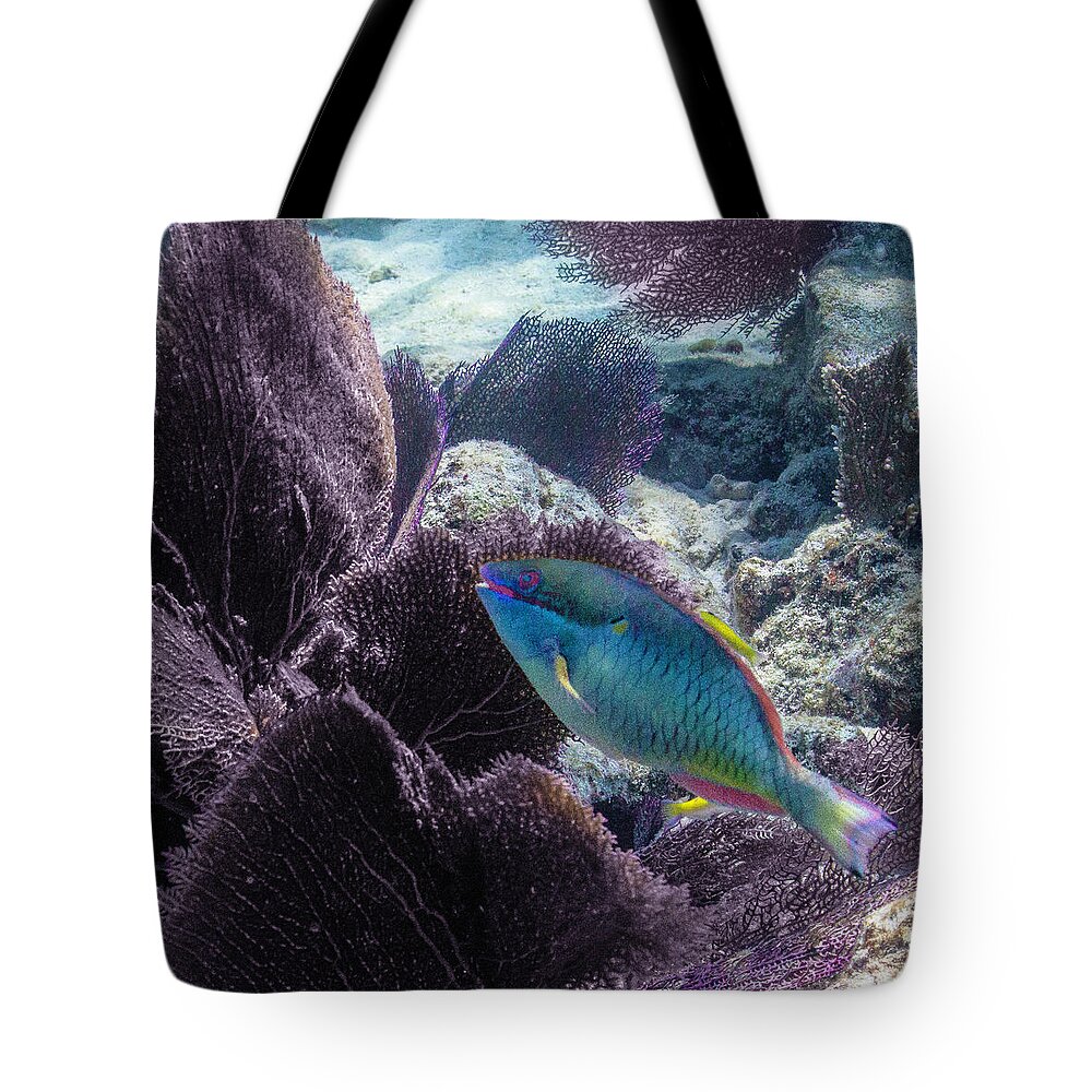 Ocean Tote Bag featuring the photograph Redband Fan by Lynne Browne