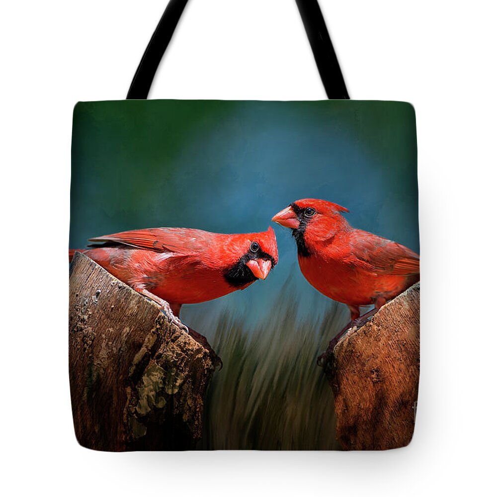 Redbirds Tote Bag featuring the photograph Redbird Sentinels by Bonnie Barry