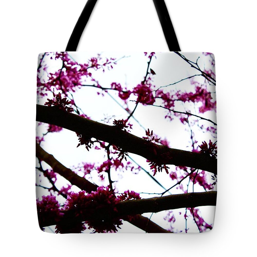 Photography Tote Bag featuring the photograph Redbud Blooming Branches by M E