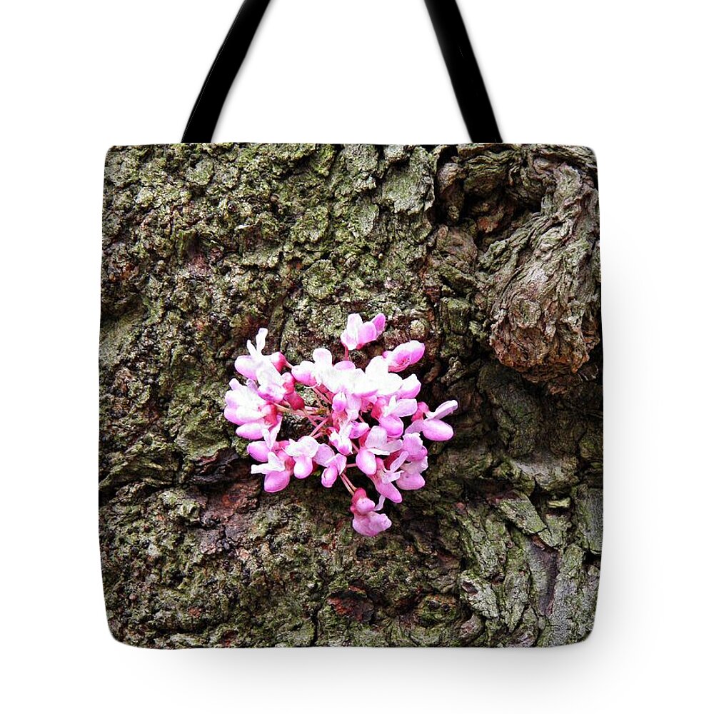 Redbud Tote Bag featuring the photograph Redbud Flowers 1 by Sarah Loft