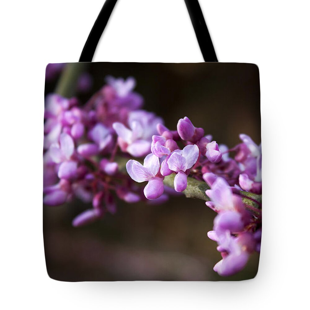 Flower Tote Bag featuring the photograph Redbuds in March by Jeff Severson