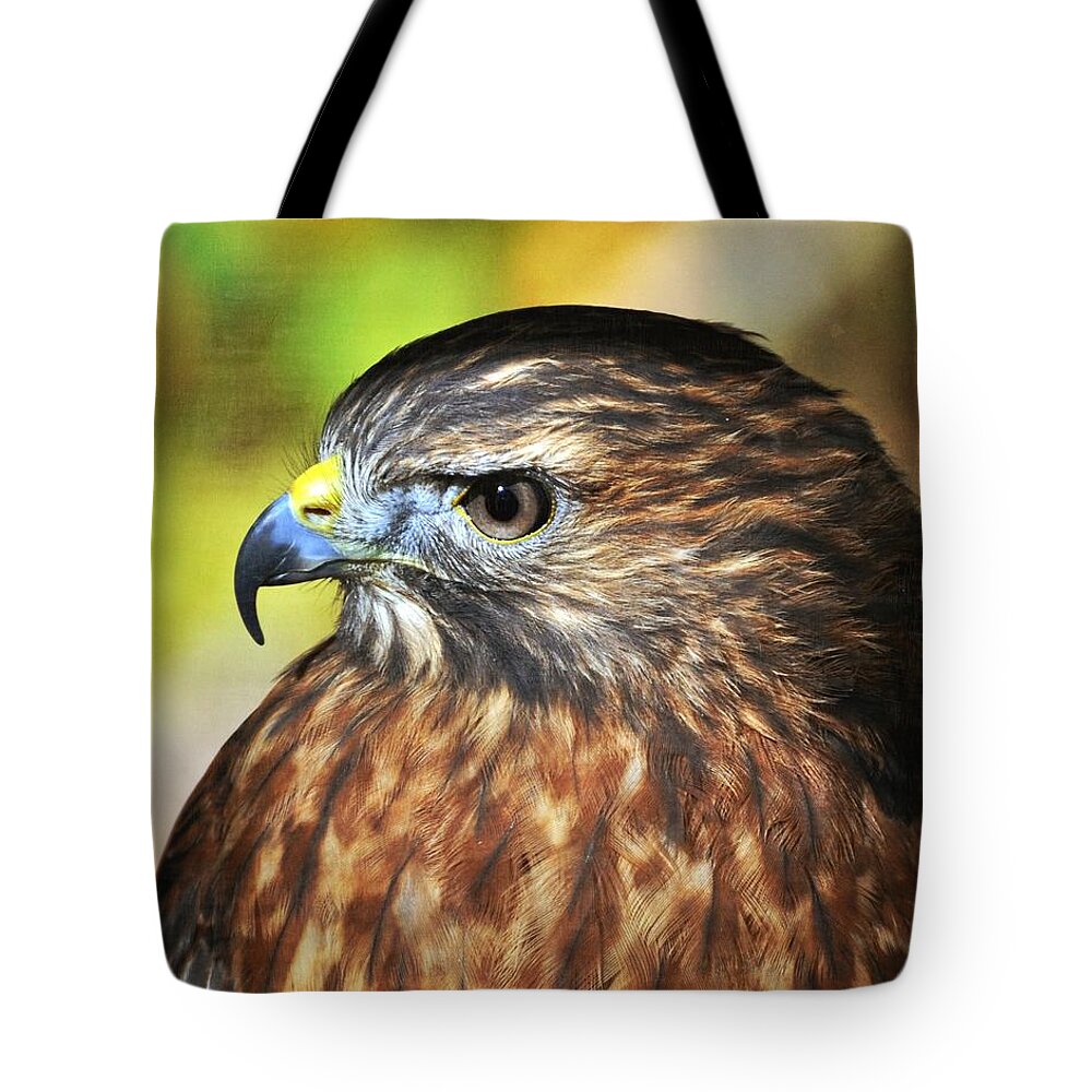 Red Tail Hawk Tote Bag featuring the photograph Redtaila 4a by Marty Koch