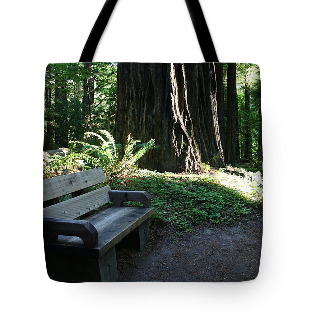 Redwood Bench Ii Tote Bag featuring the photograph Redwood Bench II by Dylan Punke