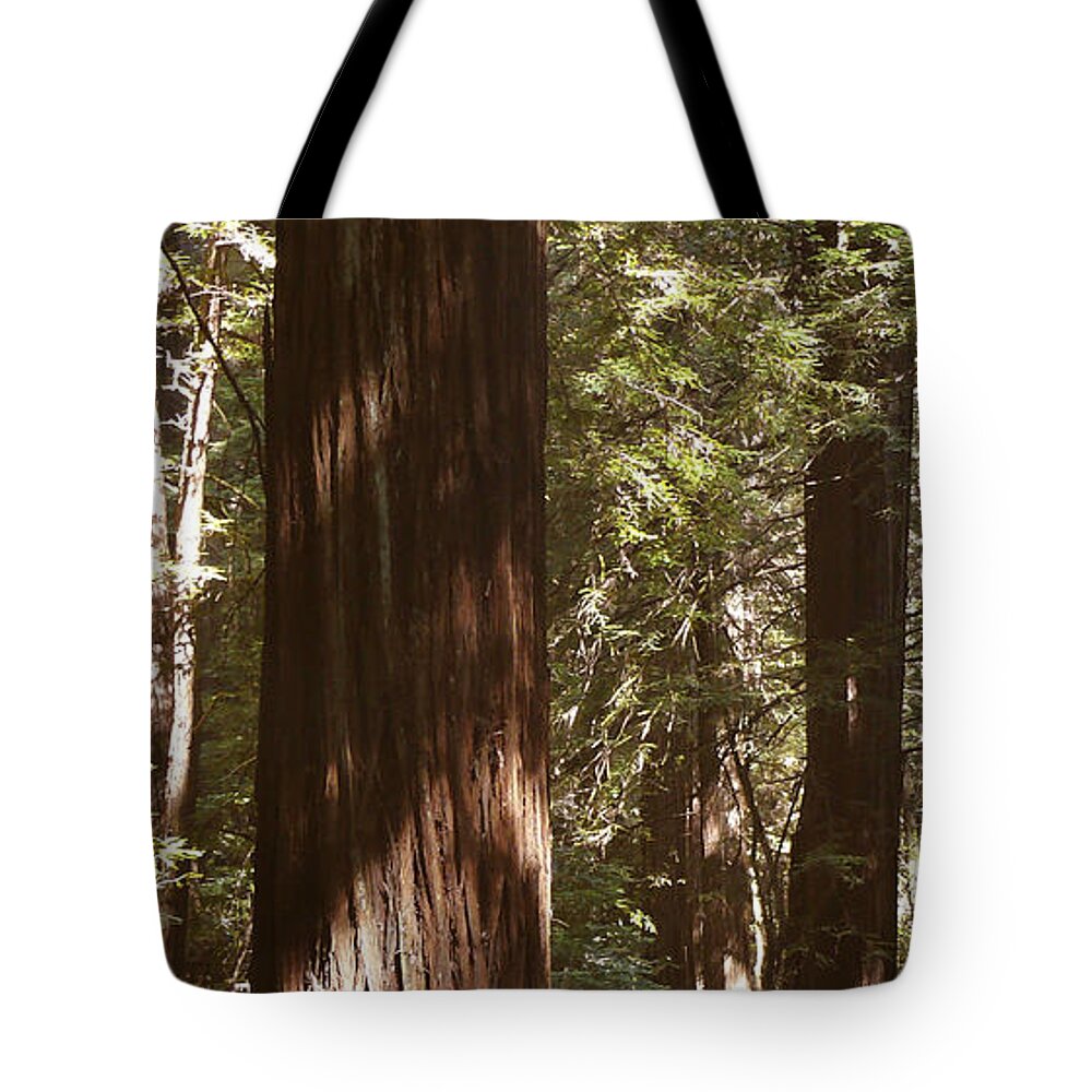 Redwood Tree Tote Bag featuring the photograph Redwoods by Mike McGlothlen