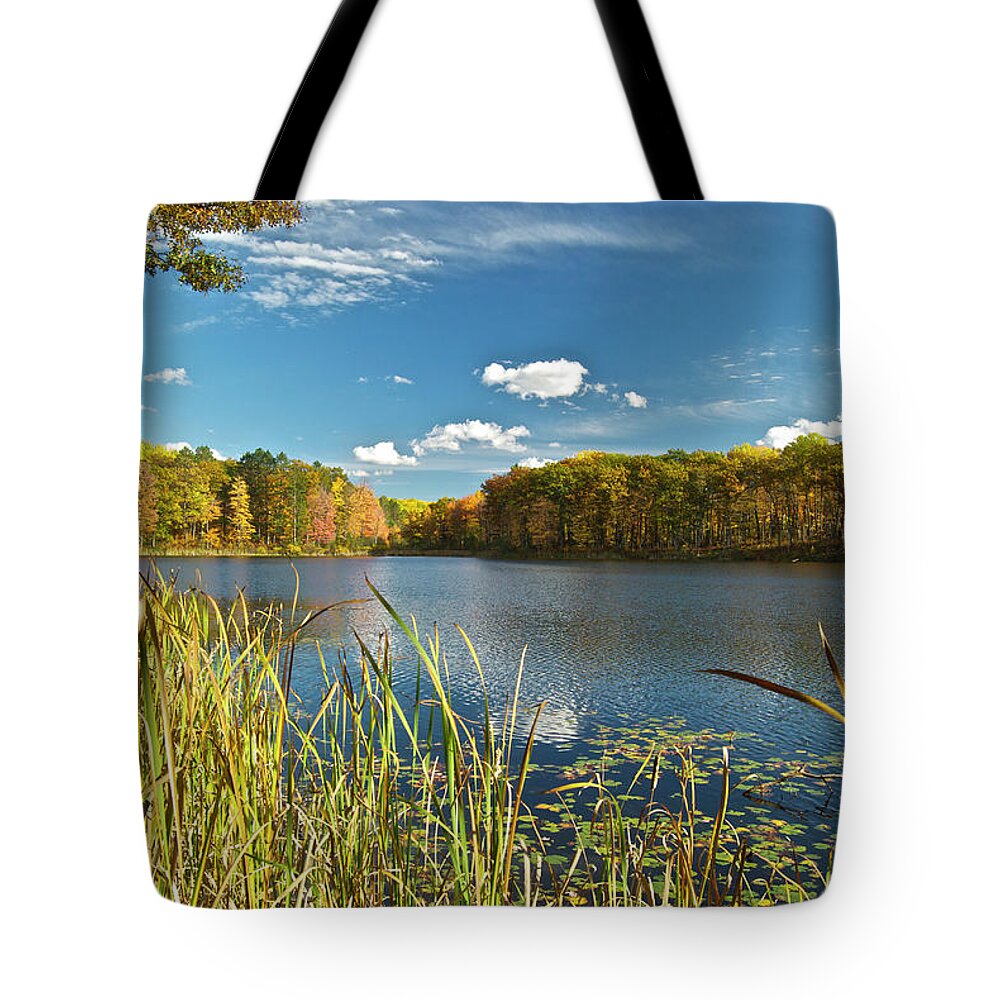 Lake Tote Bag featuring the photograph Reed Lake 0251 by Michael Peychich