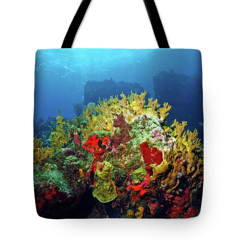 Coral Reef Tote Bag featuring the photograph Reef Scene with Divers Bubbles by Pauline Walsh Jacobson