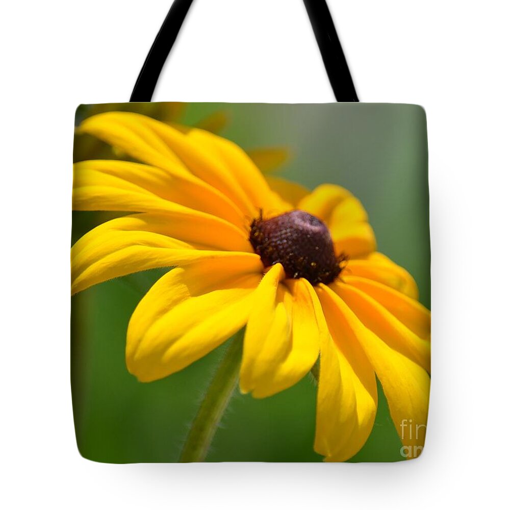 Refined Gold Tote Bag featuring the photograph Refined Gold by Maria Urso
