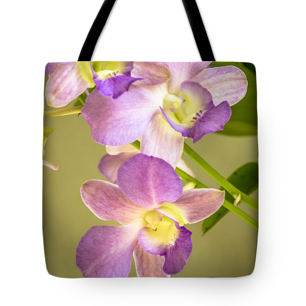 Flower Of The Day Tote Bag featuring the photograph Refined by Jade Moon