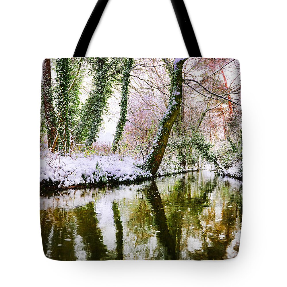 Branch Tote Bag featuring the photograph Reflected winter by Gouzel -