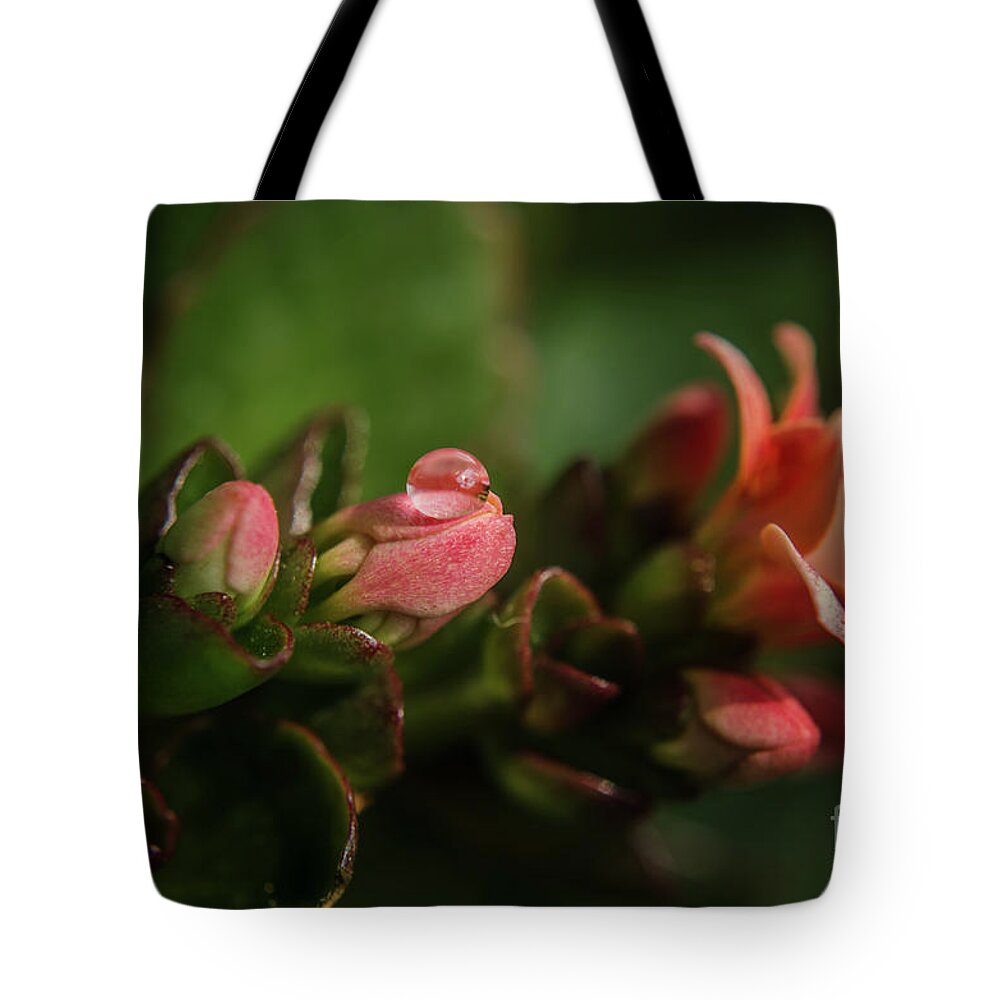 Michelle Meenawong Tote Bag featuring the photograph Reflecting Drop by Michelle Meenawong