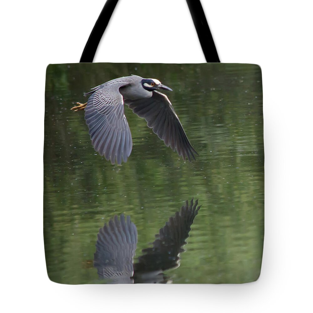 Bird Tote Bag featuring the photograph Reflecting on Flight by Shane Bechler