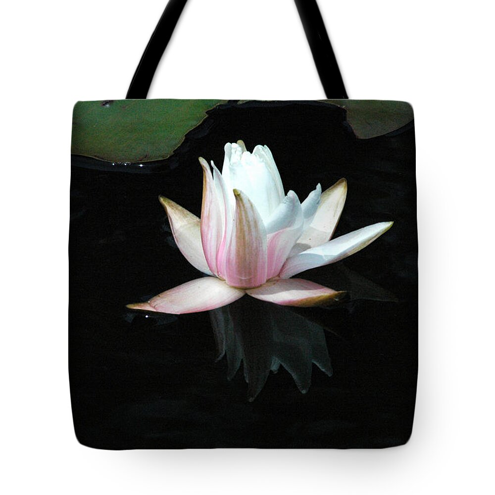 Water Tote Bag featuring the photograph Reflection by David Weeks