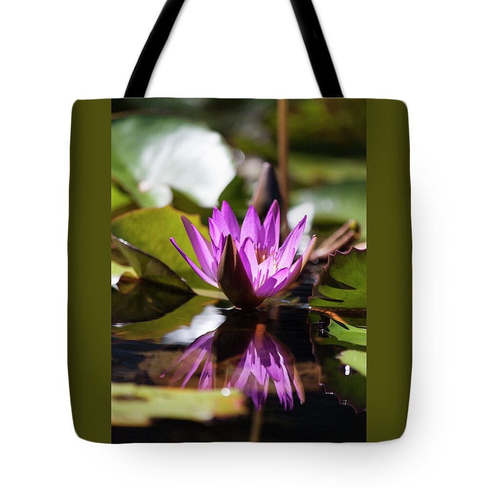 Photograph Tote Bag featuring the photograph Reflection in Fuchsia by Suzanne Gaff
