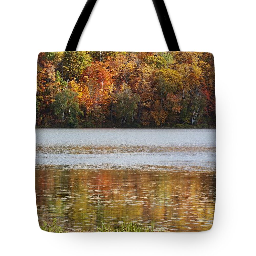 Shoreline Tote Bag featuring the photograph Reflection Of Autumn Colors In A Lake by Susan Dykstra