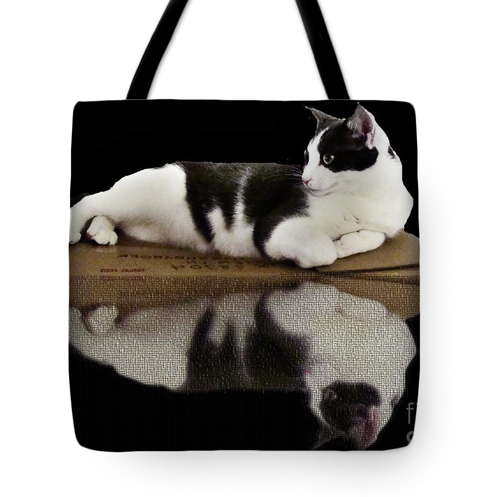 Cat Tote Bag featuring the photograph Reflection of Black and White Cat by Janette Boyd