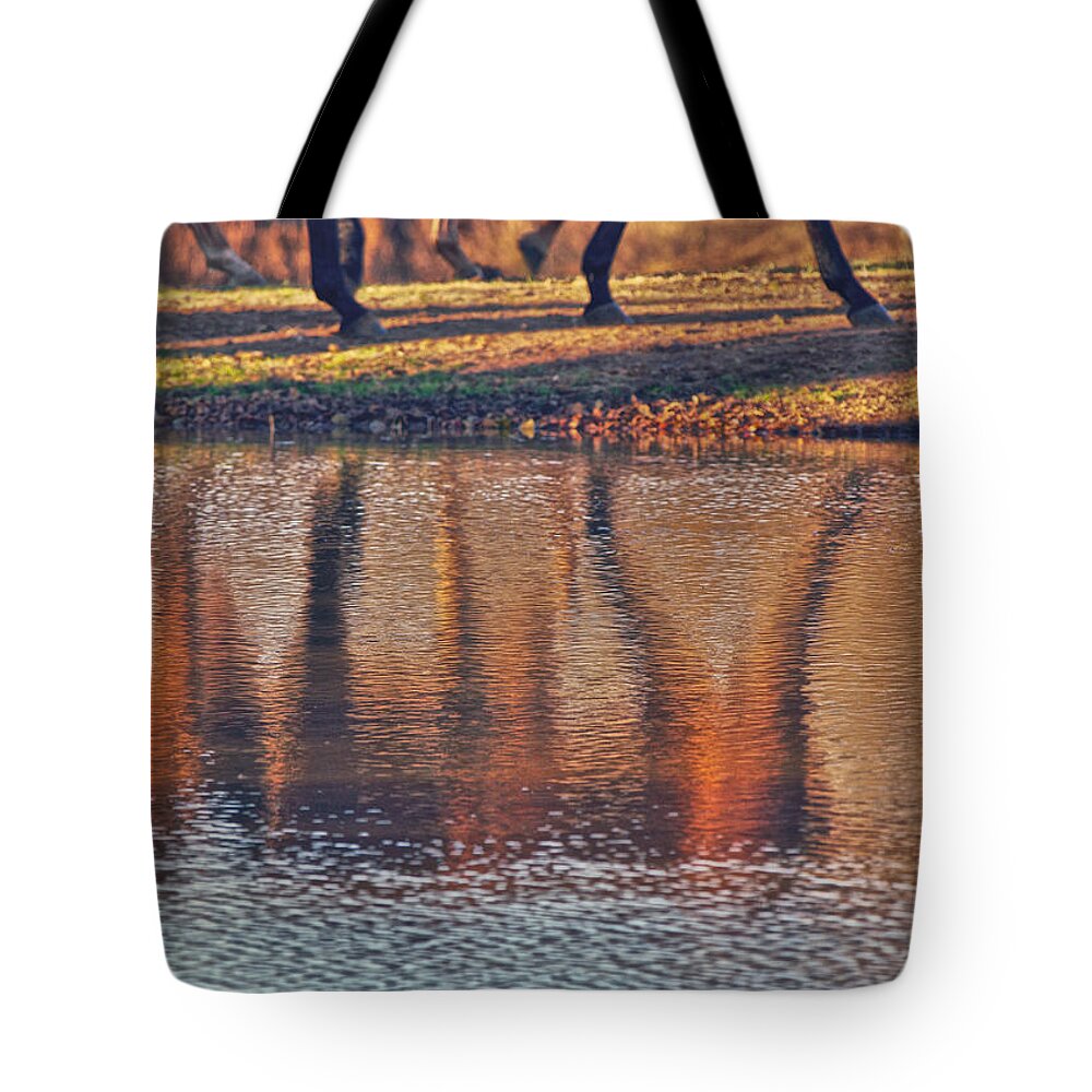 Reflection Tote Bag featuring the photograph Reflection of Horses Running by Amanda Smith