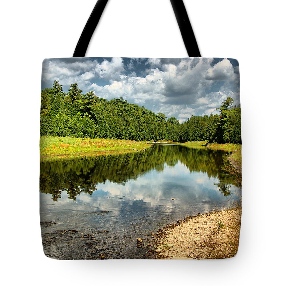 Cloud Tote Bag featuring the photograph Reflection of Nature by Joe Ng
